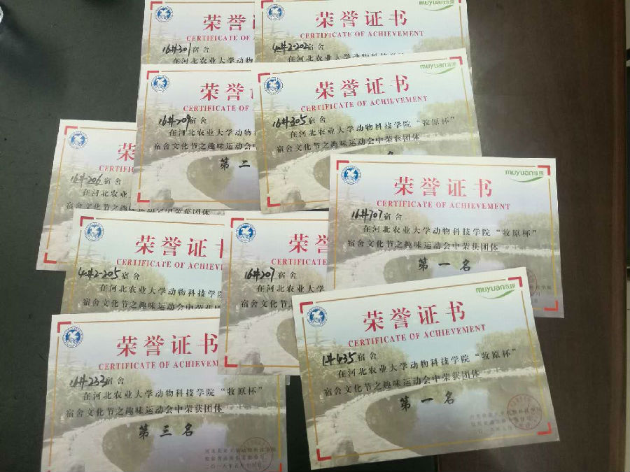 趣味運動會.jpg