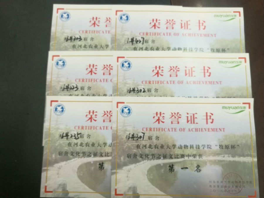 征文.jpg