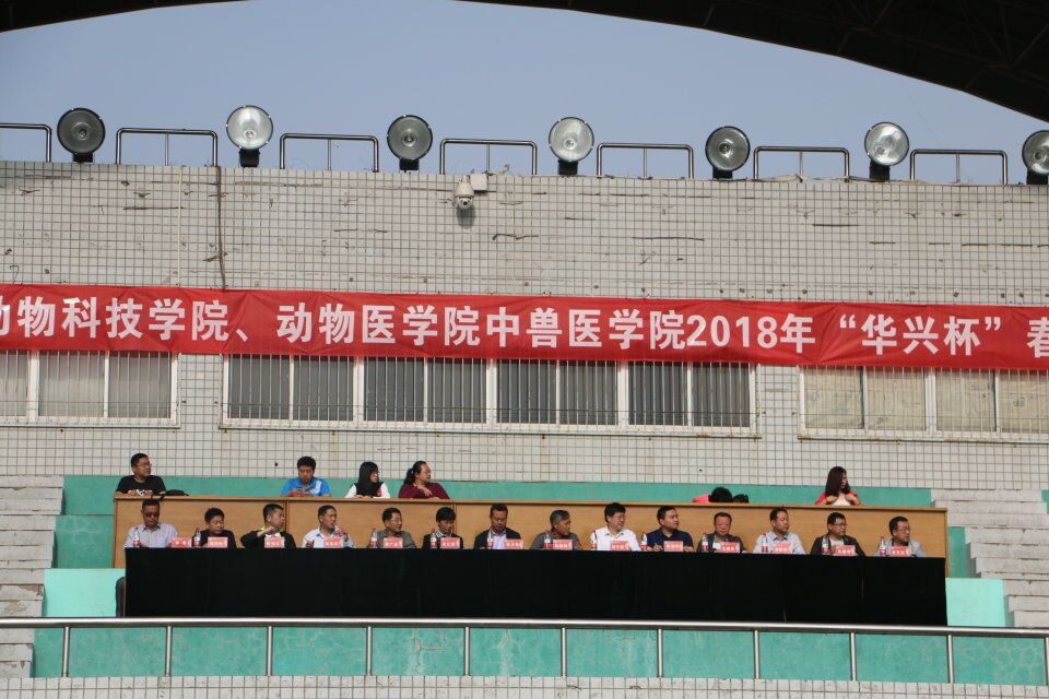 運動會8.jpg